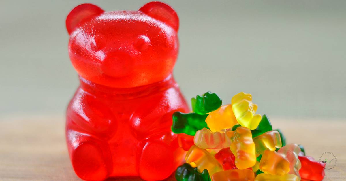 Are Apple Cider Vinegar Gummies Good For You? 6 Reasons Why You Need To Try Them!