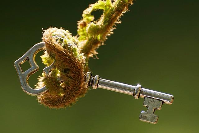 how much caffeine Dunkin cold brew 3 3. Deciphering the Buzz: Exploring the Variations in Dunkin's Cold Brew Caffeine Levels