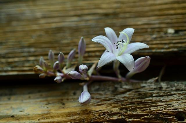 Does Creatine Make You Hungry? Effects Discussed 2 2. The Link Between Creatine and Hunger: Debunking Common Myths