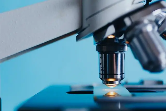 3. The Science behind Prime.Drink: Decoding the Ingredients Enhancing Your Experience