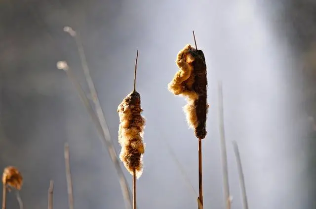 Prime Energy All Flavors: Explore the Energy Range 4 4. From Bursting Berries to Zesty Citrus: Prime Energy Delivers a Taste for Every Palate